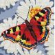 Алмазная мозаика Бабочка в ромашках, 30x30, полная выкладка, Белоснежка