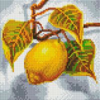 Алмазная мозаика Лимон, 20x20, полная выкладка, Белоснежка