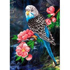 Рисунок на габардине Волнистый попугай, 50x40 (35x25), МП-Студия, Г-113