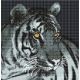 Канва с рисунком Тигр, 30x30, Божья коровка
