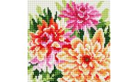 Алмазная мозаика Георгины, 20x20, полная выкладка, Белоснежка