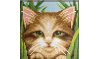 Мозаика стразами Зеленоглазый котенок, 15x15, полная выкладка, Алмазная живопись
