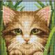 Мозаика стразами Зеленоглазый котенок, 15x15, полная выкладка, Алмазная живопись