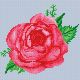 Алмазная мозаика Бархатная роза, 20x20, полная выкладка, Белоснежка