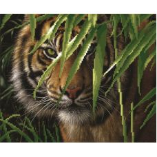 Рисунок на габардине Тигр в зарослях тростника, 35x40 (23x28), МП-Студия, Г-037