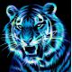 Мозаика стразами Неоновый тигр, 25x25, полная выкладка, Алмазная живопись