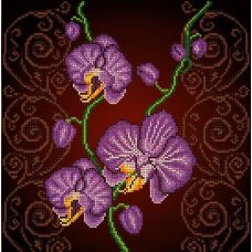 Канва с рисунком Орхидея фиолетовая, 30x30, Божья коровка