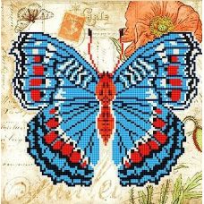 Канва с рисунком Бабочка 2, 25x25, Божья коровка
