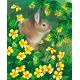 Рисунок на габардине Кролик на цветущей поляне, 35x40 (23x28), МП-Студия, Г-085