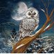 Рисунок на габардине Зимняя ночь, 40x40 (25x25), МП-Студия, Г-093