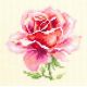 Набор для вышивания крестом Розовая роза, 11x11, Чудесная игла