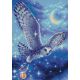 Алмазная мозаика Волшебная сова, 27x38, полная выкладка, Риолис