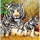 Канва с рисунком Тигры, 30x30, Божья коровка