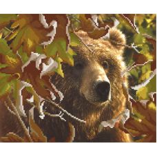 Рисунок на габардине Бурый медведь, 35x40 (23x28), МП-Студия, Г-021