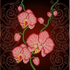 Канва с рисунком Орхидея розовая, 30x30, Божья коровка