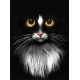 Мозаика стразами Черный кот, 30x40, полная выкладка, Алмазная живопись