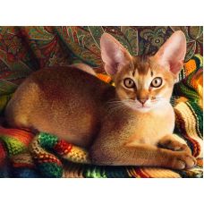Мозаика стразами Абссинский кот, 30x40, полная выкладка, Алмазная живопись