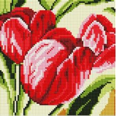 Алмазная мозаика Тюльпаны, 20x20, полная выкладка, Белоснежка