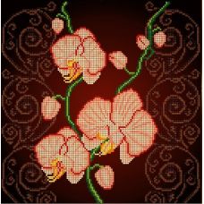 Канва с рисунком Орхидея бежевая, 30x30, Божья коровка